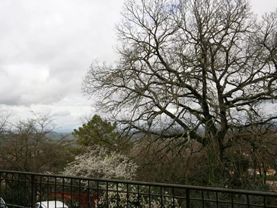 Immagine 6 di Villetta a schiera in vendita  a Rapolano Terme