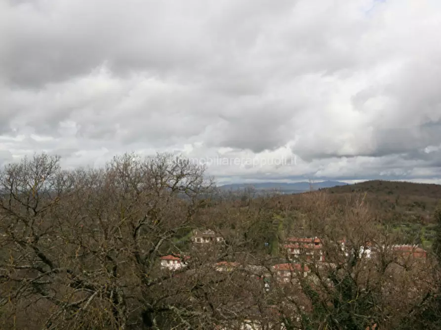 Immagine 24 di Villetta a schiera in vendita  a Rapolano Terme