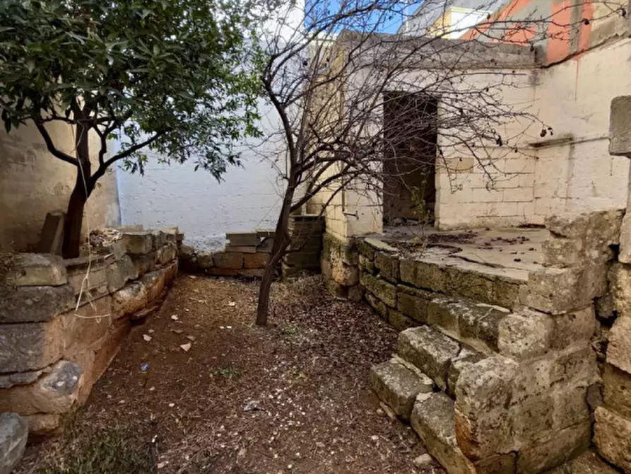 Immagine 8 di Rustico / casale in vendita  in Via Paisiello a Sava