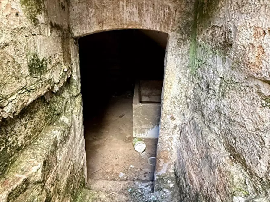 Immagine 9 di Rustico / casale in vendita  in Via Paisiello a Sava