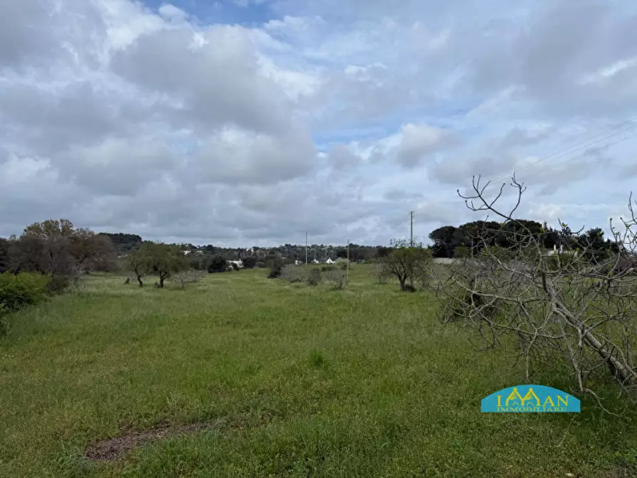 Immagine 19 di Rustico / casale in vendita  in Contrada Selva a Ceglie Messapico