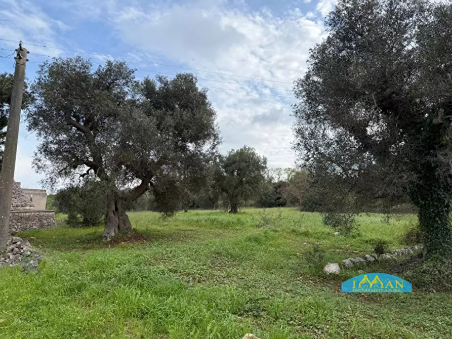 Immagine 21 di Rustico / casale in vendita  in Contrada Selva a Ceglie Messapico