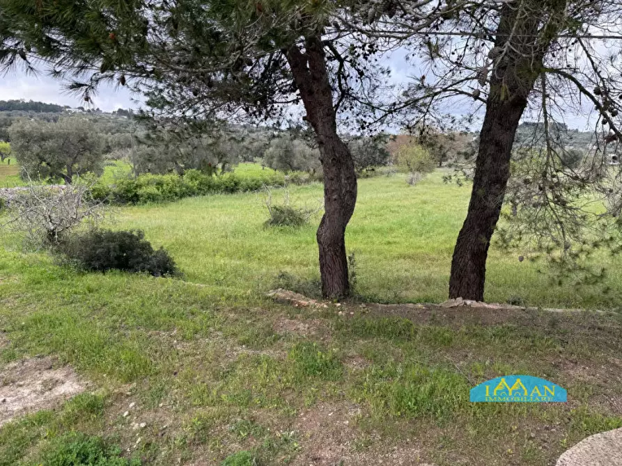 Immagine 24 di Rustico / casale in vendita  in Contrada Selva a Ceglie Messapico