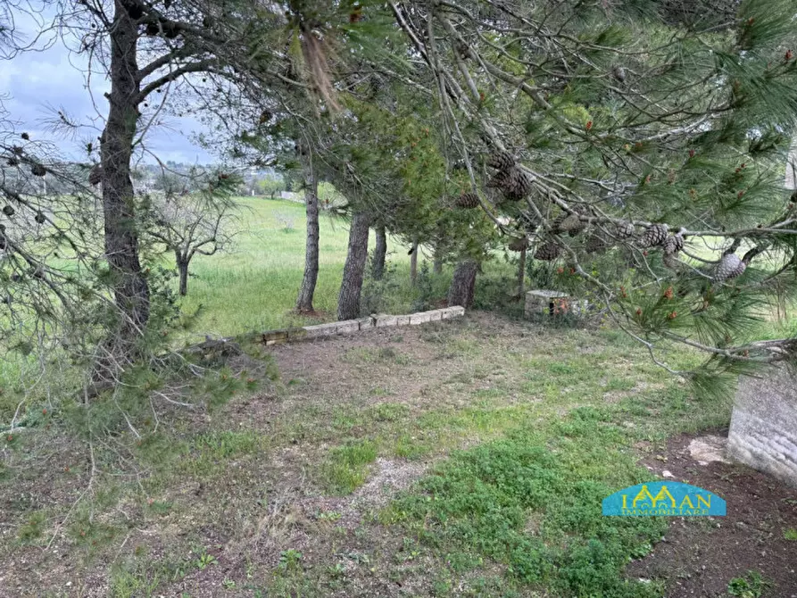 Immagine 26 di Rustico / casale in vendita  in Contrada Selva a Ceglie Messapico
