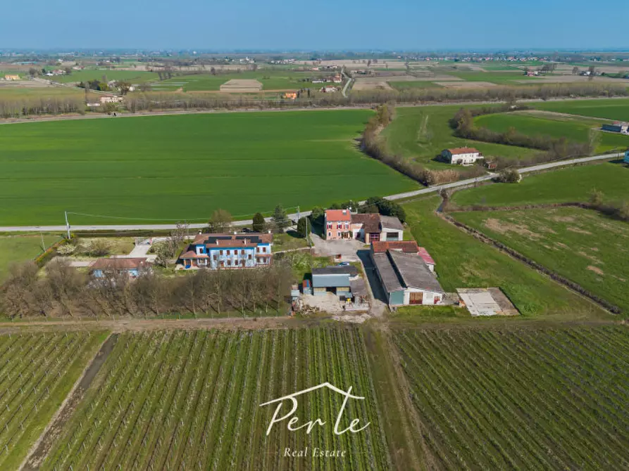 Immagine 4 di Villa in vendita  in via schiappa 30 a San Benedetto Po