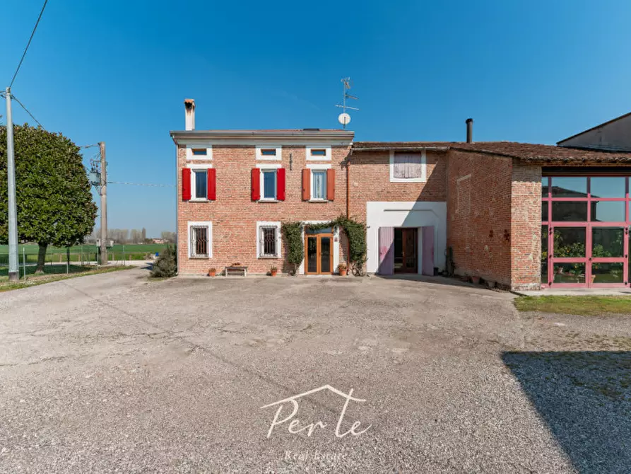 Immagine 7 di Villa in vendita  in via schiappa 30 a San Benedetto Po