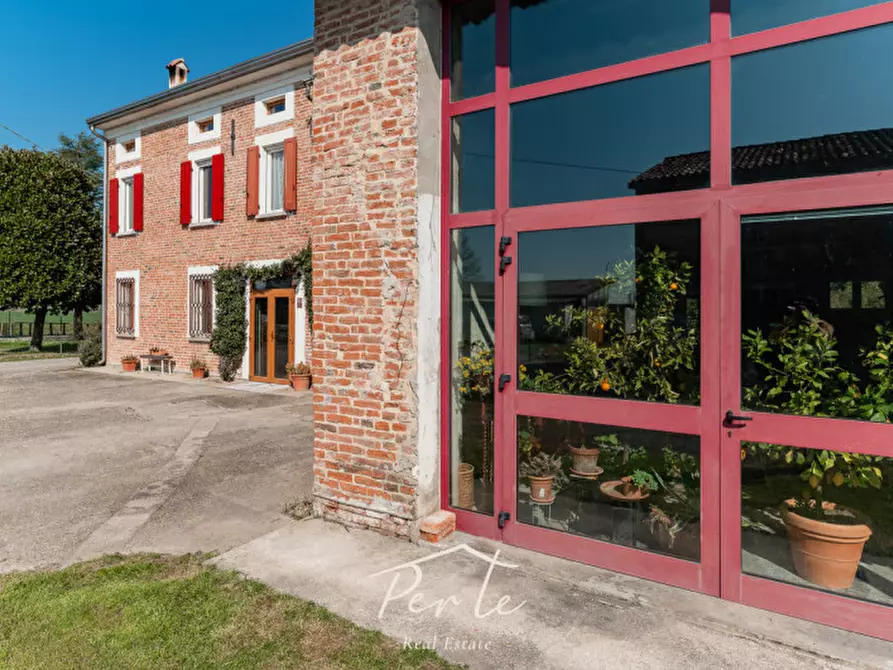 Immagine 9 di Villa in vendita  in via schiappa 30 a San Benedetto Po