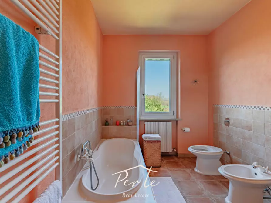 Immagine 35 di Villa in vendita  in via schiappa 30 a San Benedetto Po