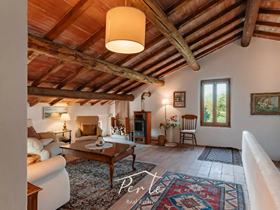 Immagine 41 di Villa in vendita  in via schiappa 30 a San Benedetto Po