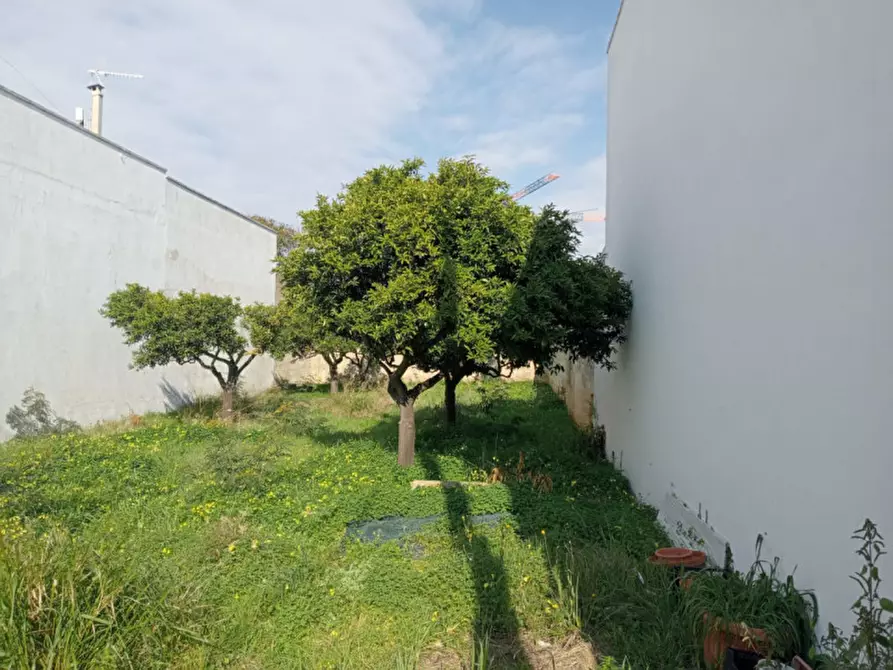 Immagine 3 di Terreno in vendita  in Via Tagliamento a Parabita