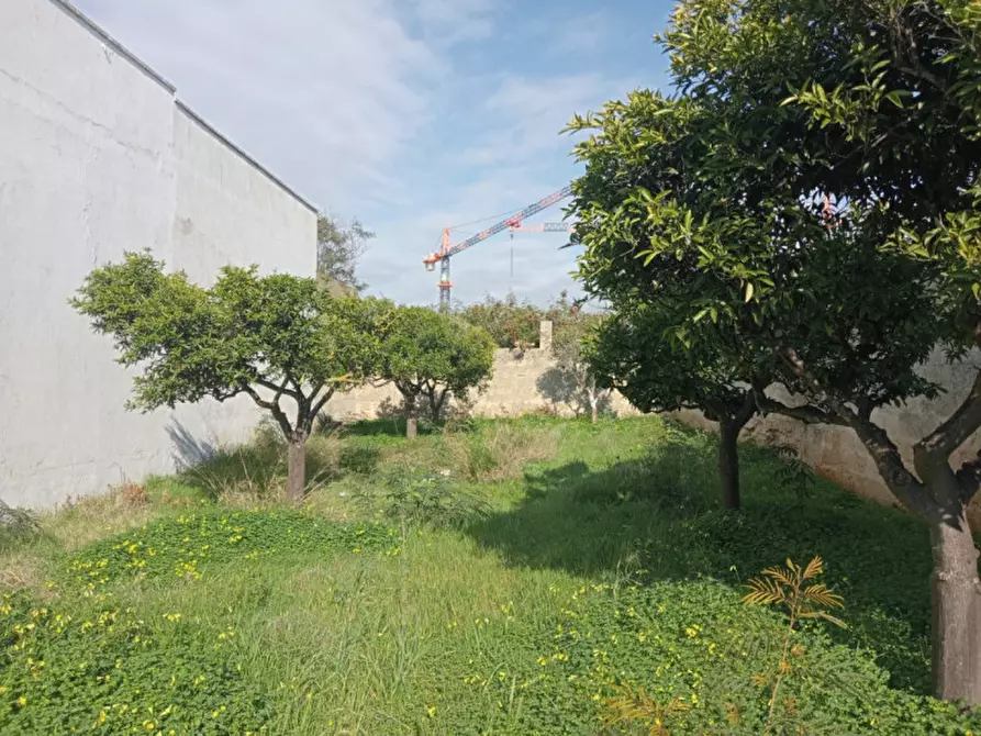 Immagine 5 di Terreno in vendita  in Via Tagliamento a Parabita