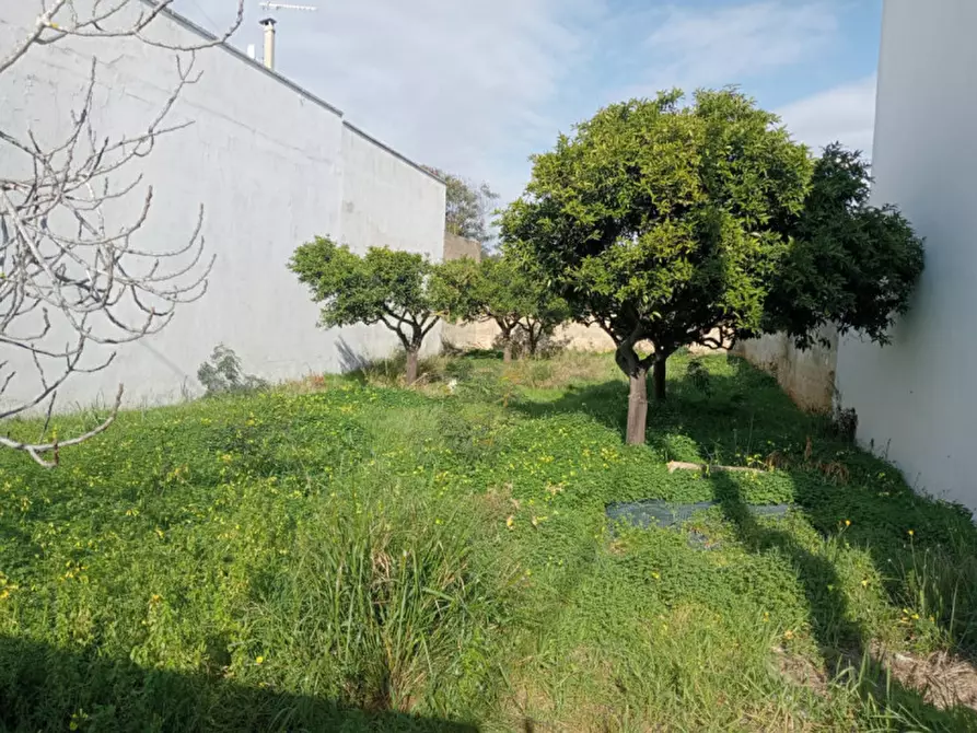 Immagine 6 di Terreno in vendita  in Via Tagliamento a Parabita