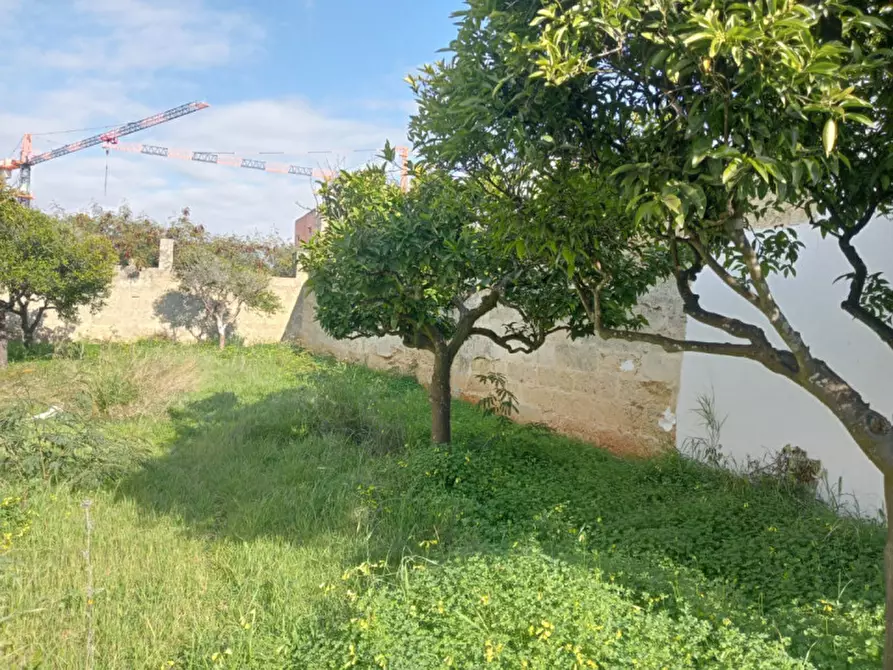 Immagine 7 di Terreno in vendita  in Via Tagliamento a Parabita