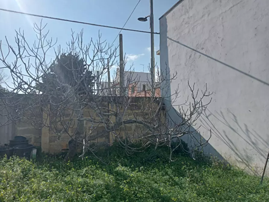 Immagine 8 di Terreno in vendita  in Via Tagliamento a Parabita