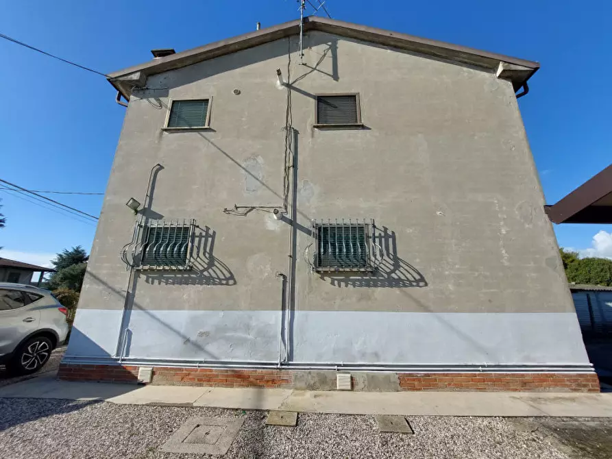 Immagine 11 di Appartamento in affitto  a Trecenta