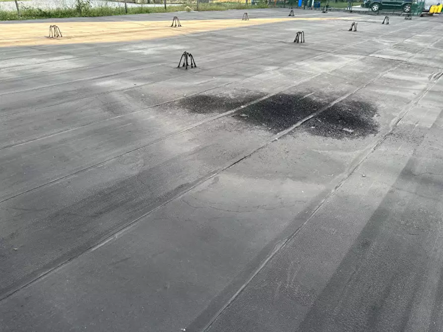 Immagine 5 di Terreno in vendita  in Via Villette a Trevignano