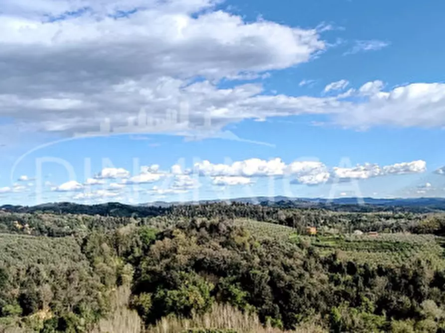 Immagine 4 di Rustico / casale in vendita  a Palaia