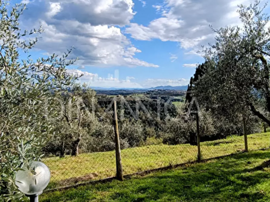 Immagine 13 di Rustico / casale in vendita  a Palaia