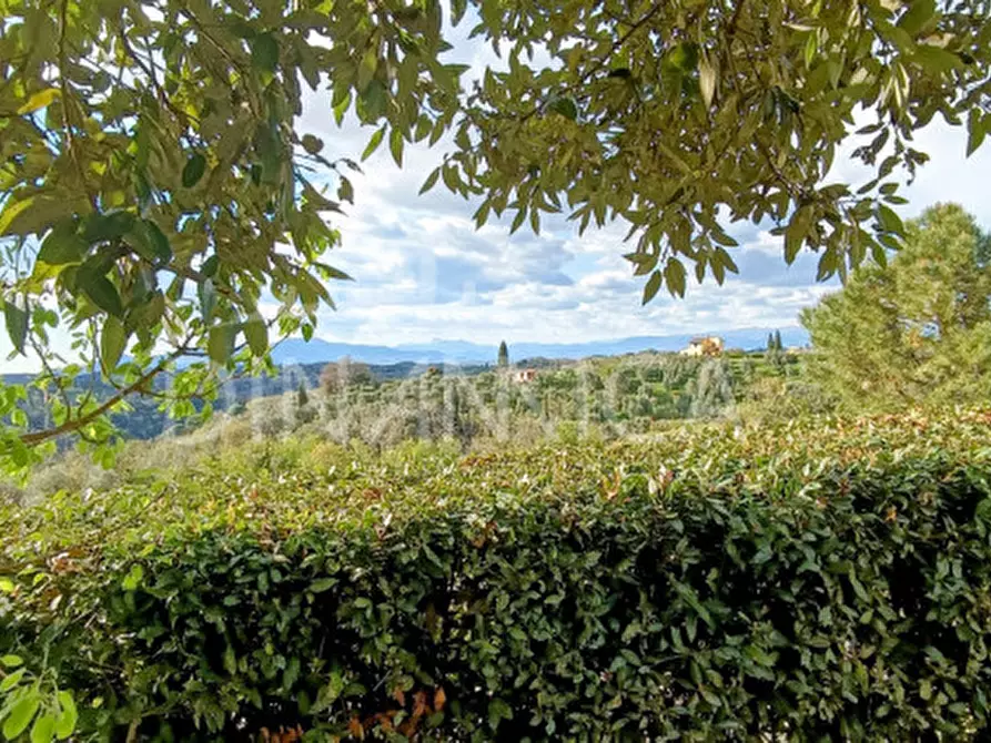 Immagine 15 di Rustico / casale in vendita  a Palaia