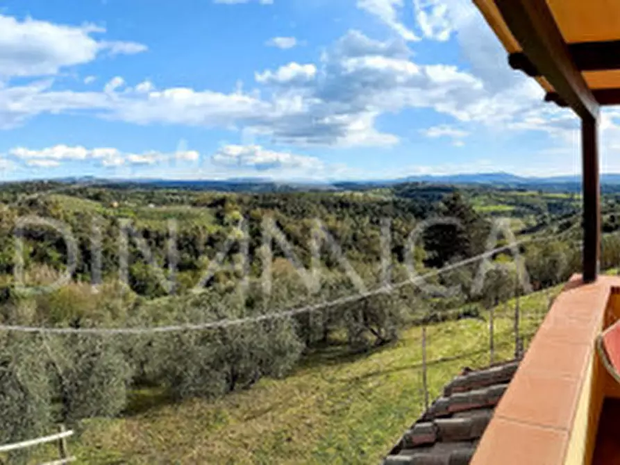 Immagine 17 di Rustico / casale in vendita  a Palaia