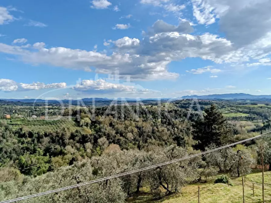 Immagine 19 di Rustico / casale in vendita  a Palaia