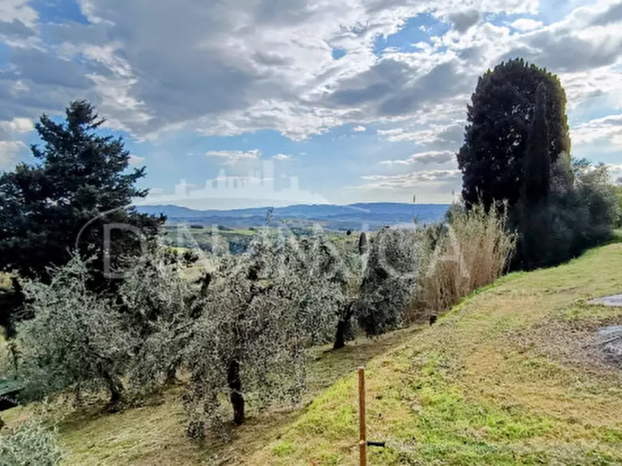 Immagine 22 di Rustico / casale in vendita  a Palaia