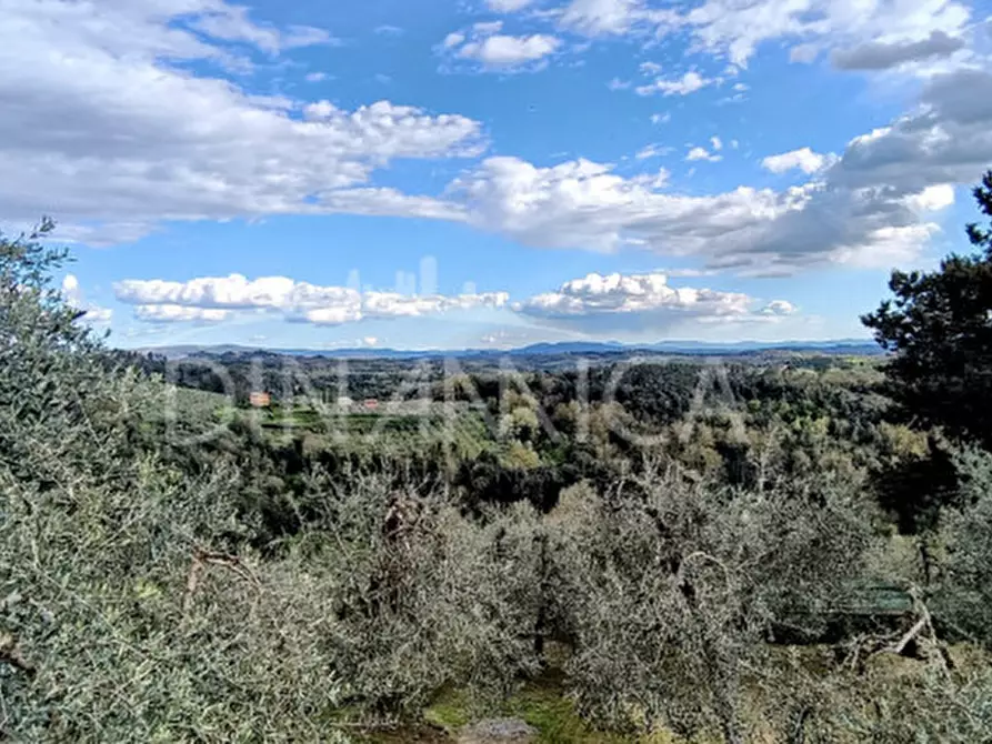 Immagine 23 di Rustico / casale in vendita  a Palaia