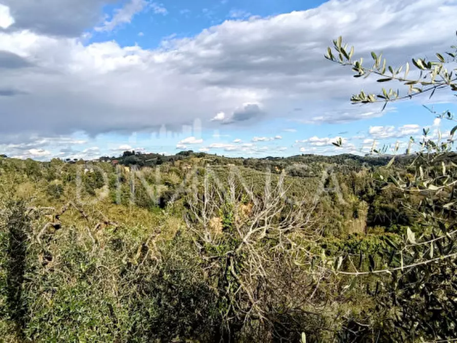 Immagine 24 di Rustico / casale in vendita  a Palaia