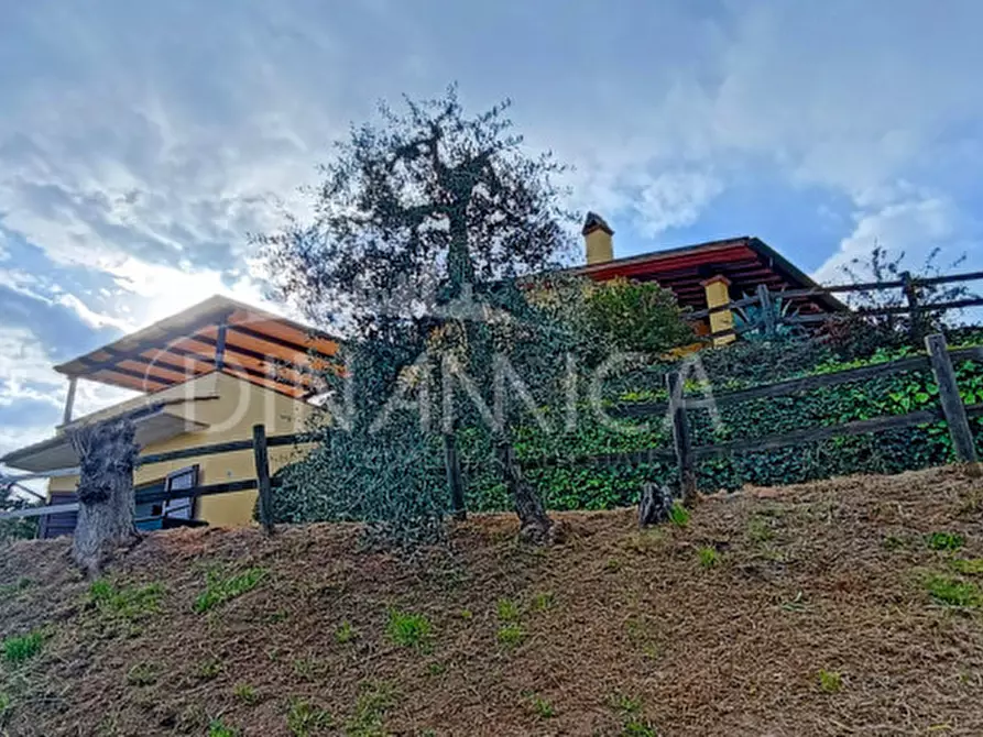 Immagine 25 di Rustico / casale in vendita  a Palaia