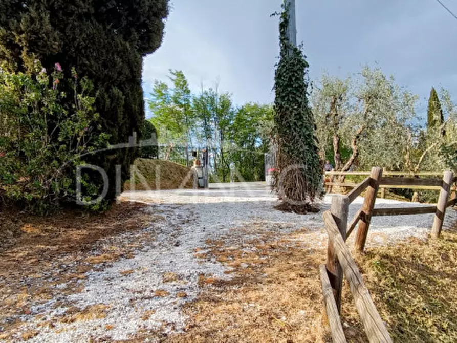 Immagine 26 di Rustico / casale in vendita  a Palaia