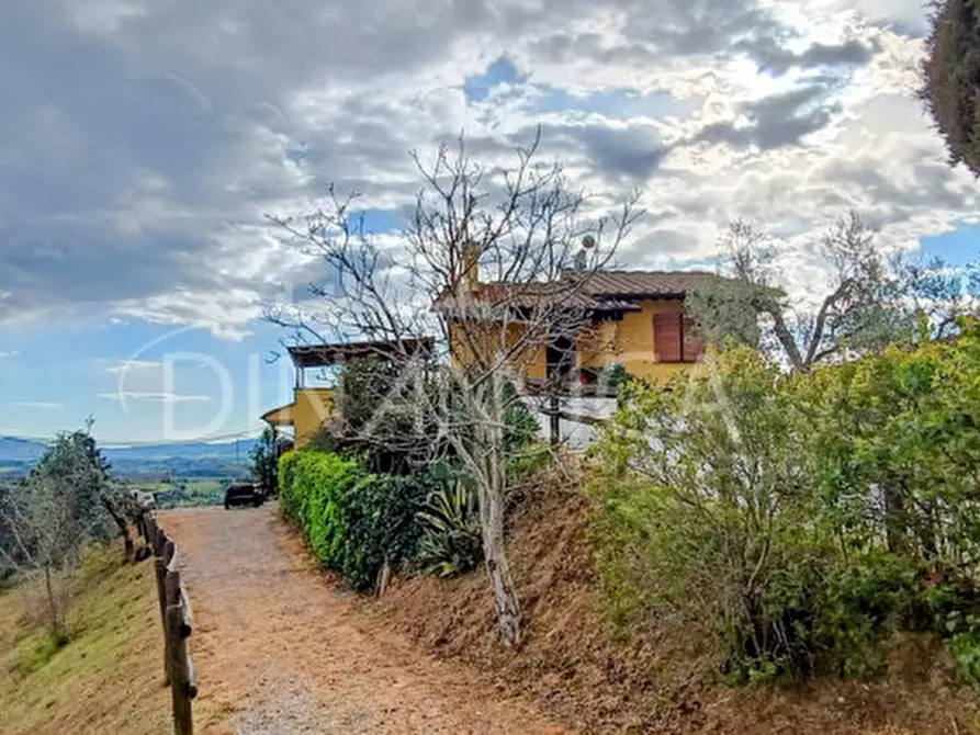 Immagine 28 di Rustico / casale in vendita  a Palaia