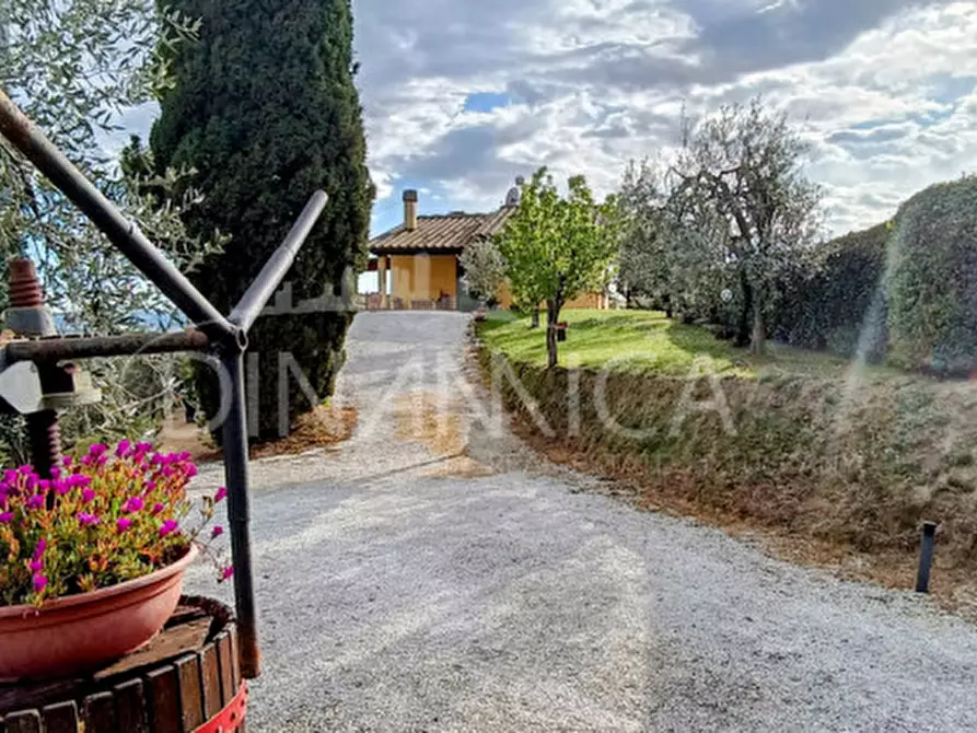 Immagine 29 di Rustico / casale in vendita  a Palaia