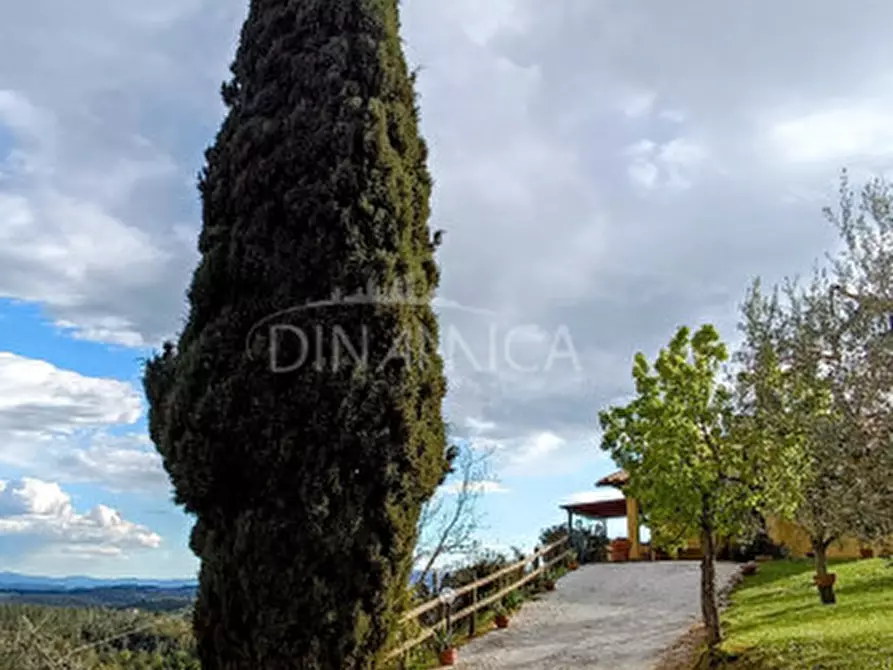 Immagine 30 di Rustico / casale in vendita  a Palaia