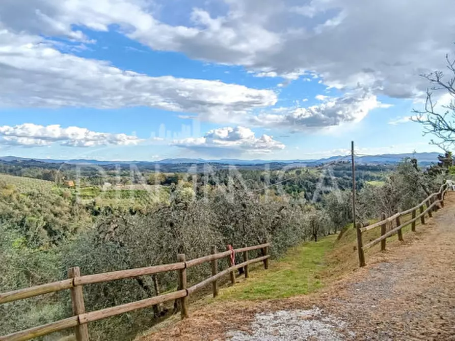 Immagine 31 di Rustico / casale in vendita  a Palaia