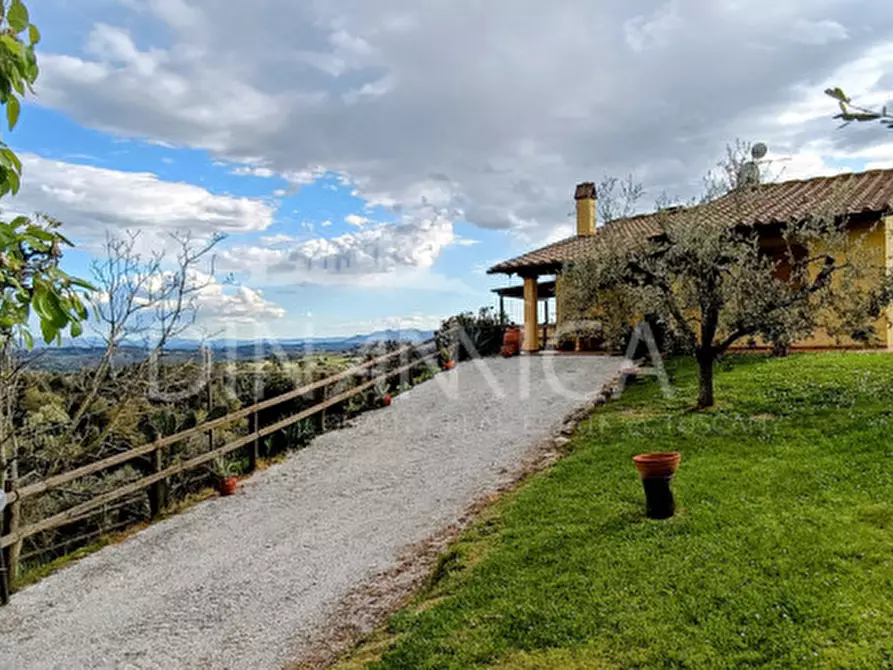 Immagine 32 di Rustico / casale in vendita  a Palaia