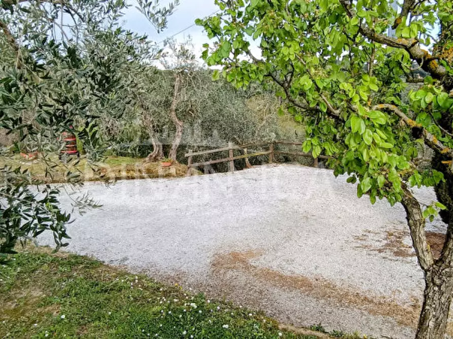 Immagine 33 di Rustico / casale in vendita  a Palaia