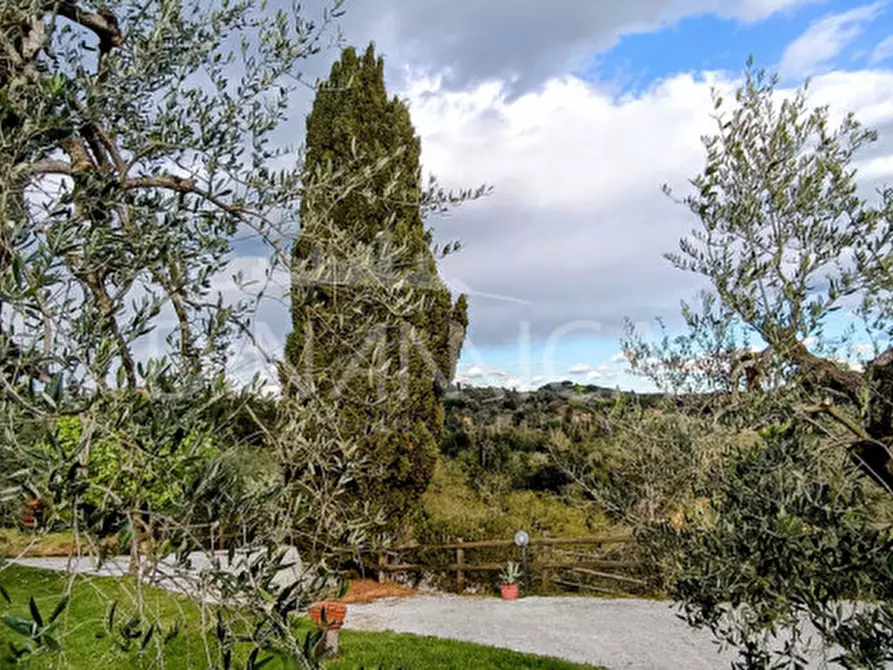 Immagine 34 di Rustico / casale in vendita  a Palaia