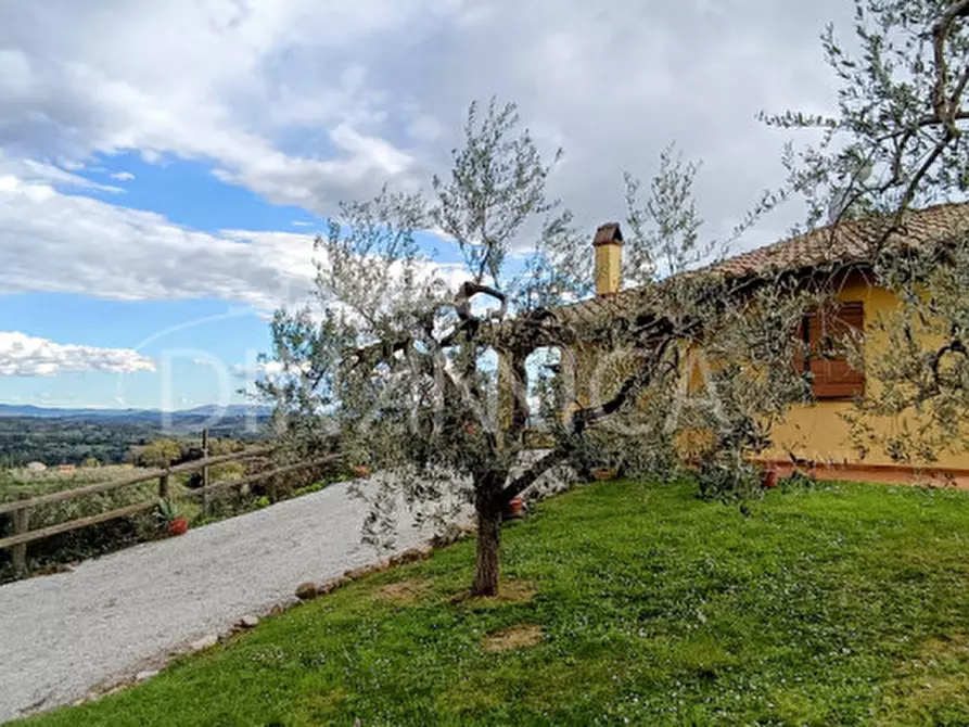 Immagine 35 di Rustico / casale in vendita  a Palaia