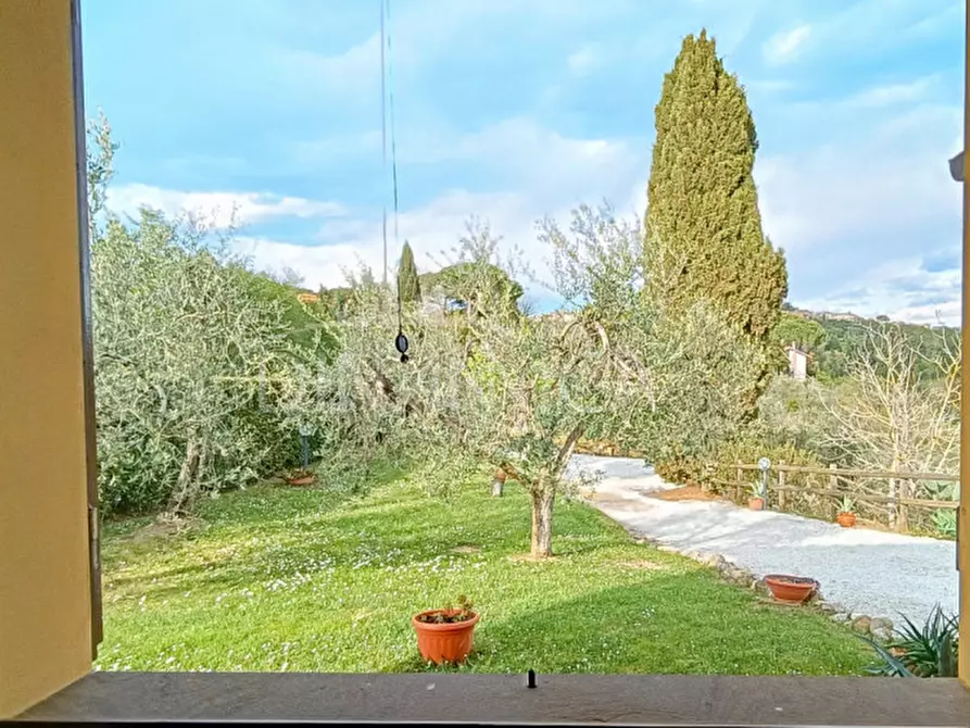 Immagine 40 di Rustico / casale in vendita  a Palaia