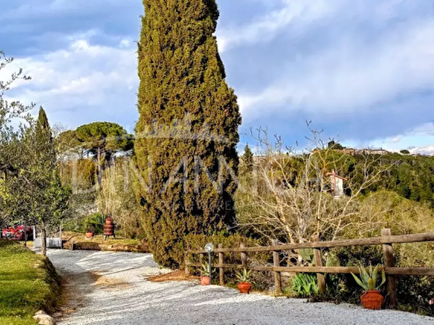 Immagine 41 di Rustico / casale in vendita  a Palaia