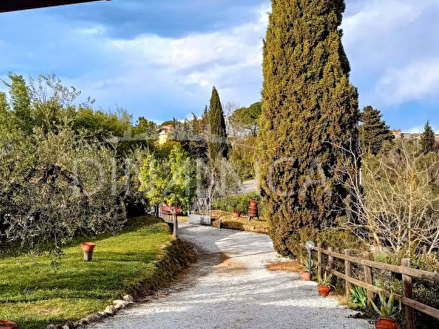 Immagine 42 di Rustico / casale in vendita  a Palaia