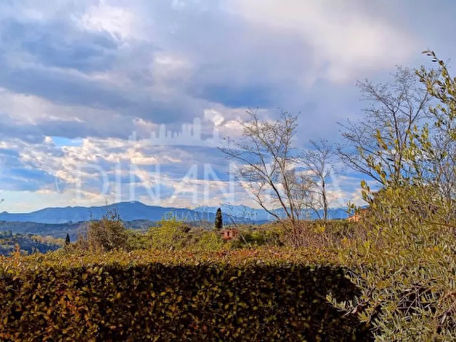 Immagine 43 di Rustico / casale in vendita  a Palaia