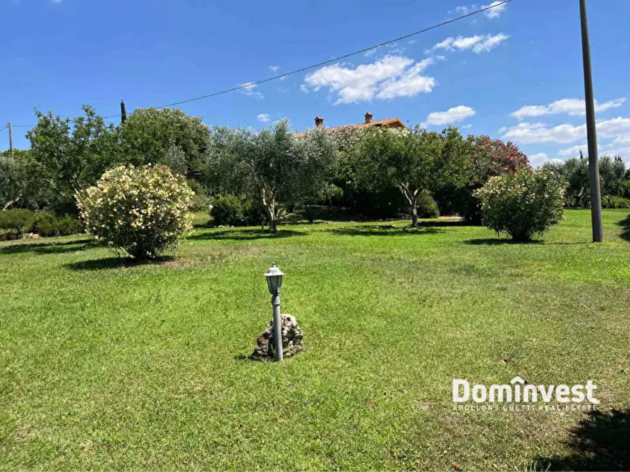 Immagine 14 di Villa in affitto  in Poggio Cavalluciaro a Montalto Di Castro