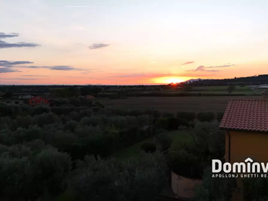 Immagine 19 di Villa in affitto  in Poggio Cavalluciaro a Montalto Di Castro