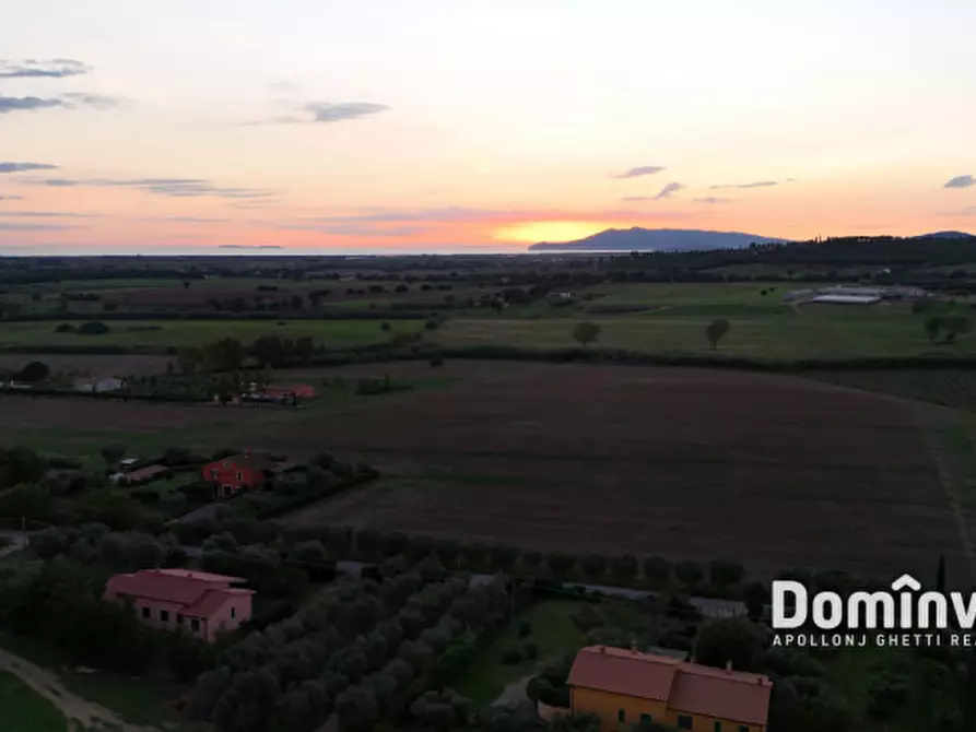 Immagine 25 di Villa in affitto  in Poggio Cavalluciaro a Montalto Di Castro