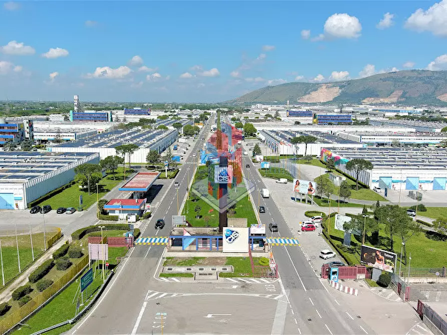 Immagine 4 di Capannone industriale in vendita  in C.I.S. di NOLA a Nola