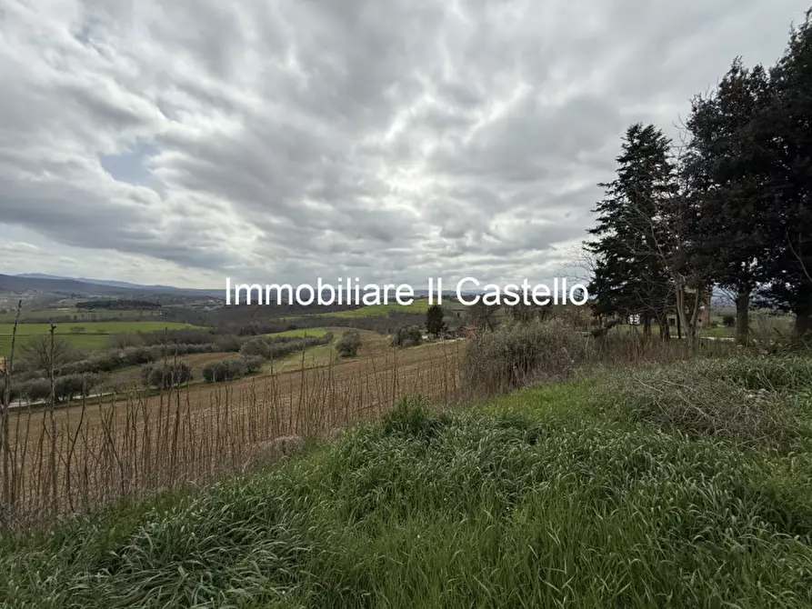 Immagine 5 di Terreno in vendita  in i Poggi a Castiglione Del Lago