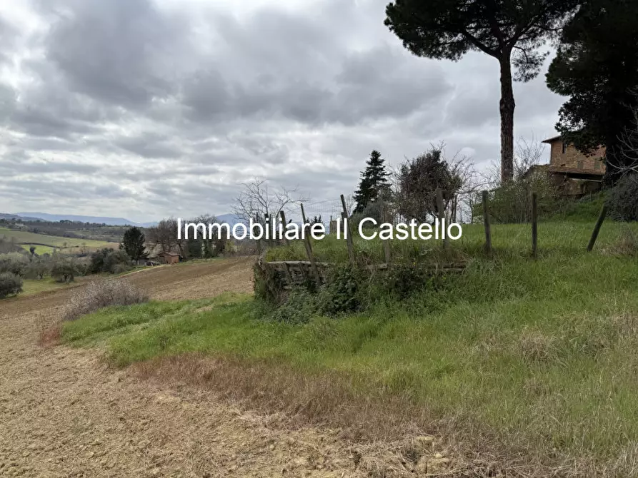 Immagine 7 di Terreno in vendita  in i Poggi a Castiglione Del Lago