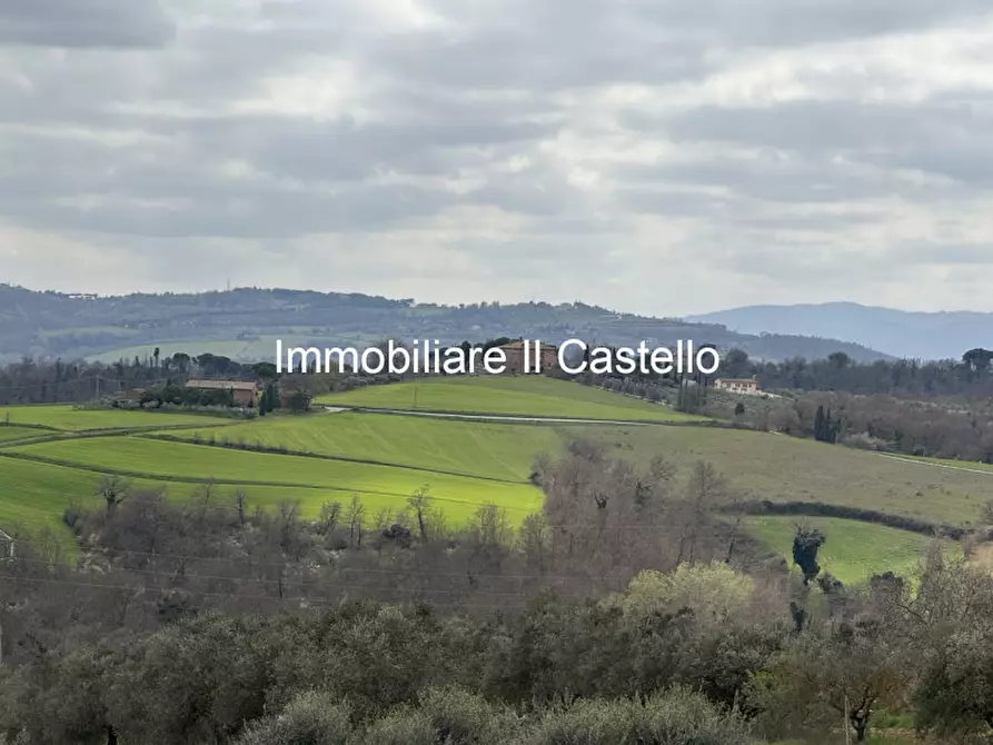 Immagine 9 di Terreno in vendita  in i Poggi a Castiglione Del Lago