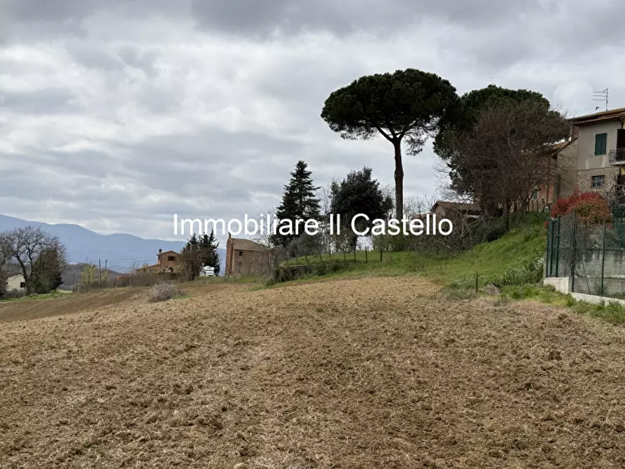Immagine 11 di Terreno in vendita  in i Poggi a Castiglione Del Lago